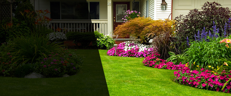 Paradise Landscapers
